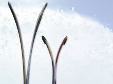 Rockers all over the slopes