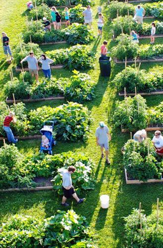 College project teaches gardening, preserving in hard-hit community