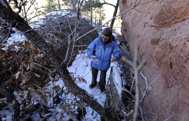 OUT THERE: Letterboxing offers a new way to see the outdoors