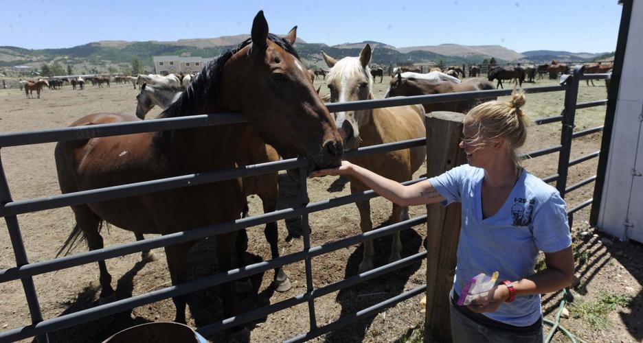 Where’s the rodeo? Horses evacuated from wildfire zone fill fairgrounds