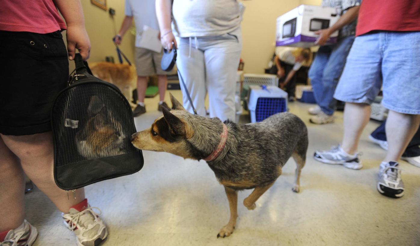 WALDO CANYON FIRE: Area seeks help from state, feds