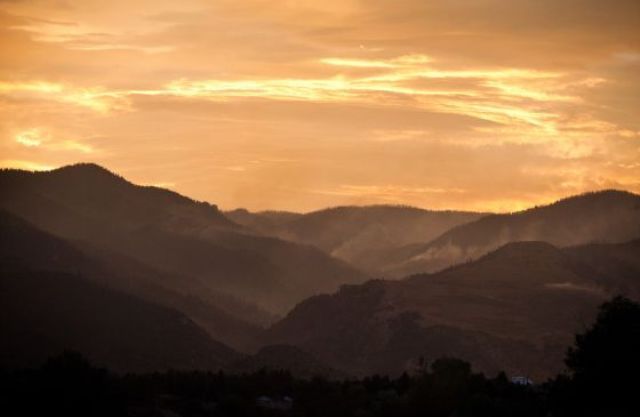 22-acre pot grow found during Waldo Canyon fire