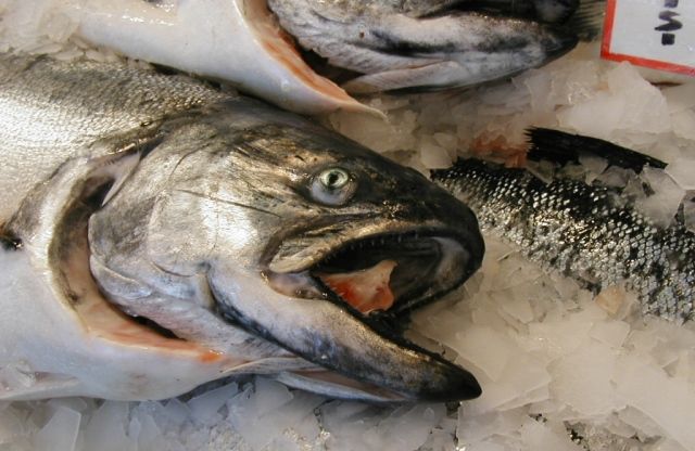 Buying sustainable fish isn’t daunting as it seems
