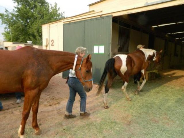 WALDO CANYON FIRE: Money allocated to agencies that helped victims