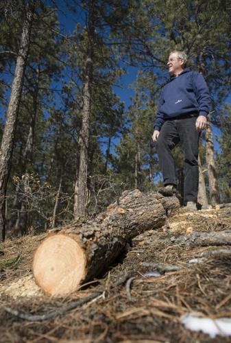 WALDO CANYON FIRE: Toll adds up for insurers, insured
