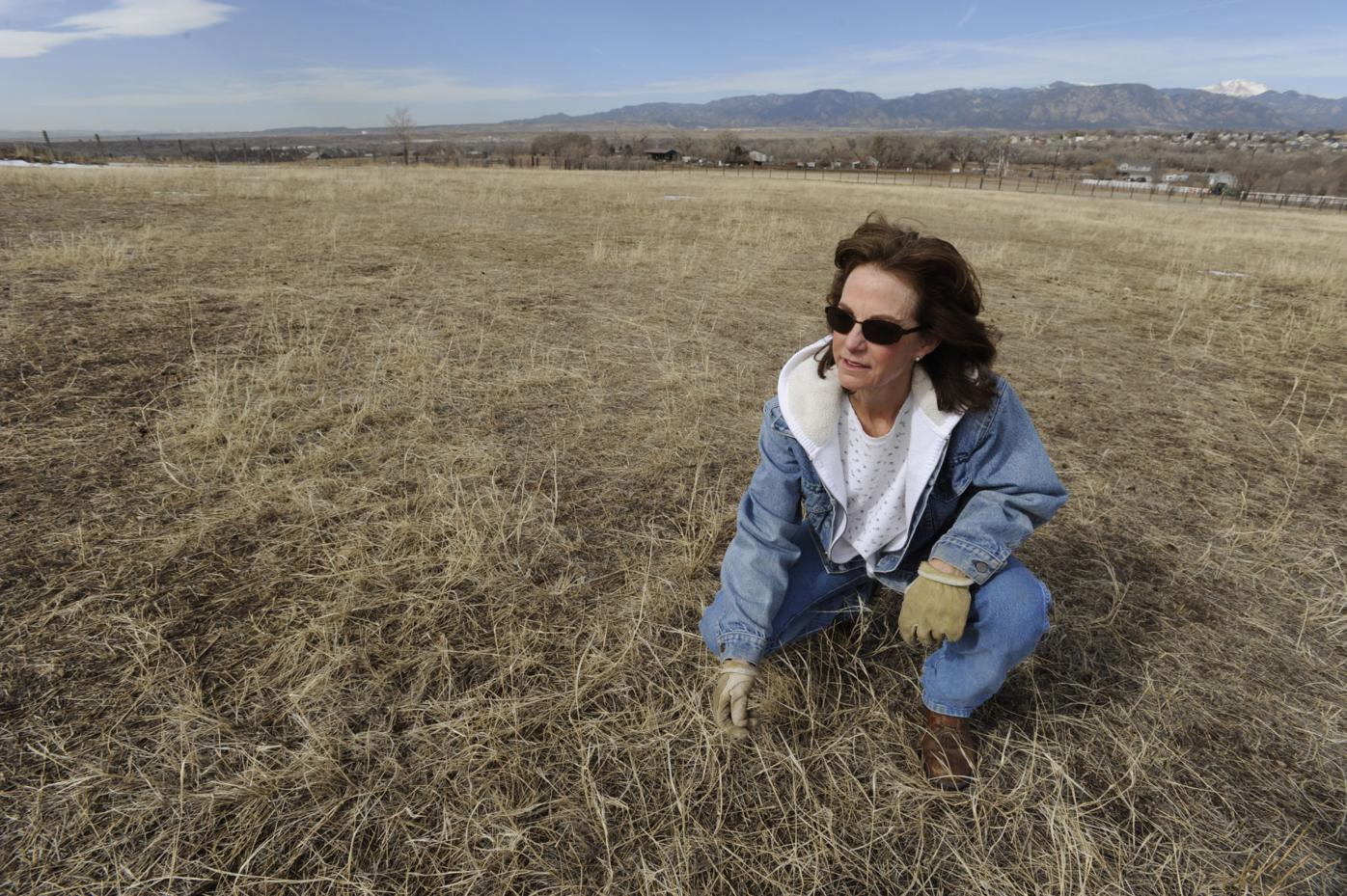 Irrigation dries up as farmers face summer of drought