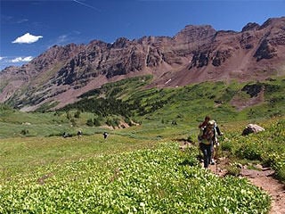 Bear encounters shut down campground near Aspen