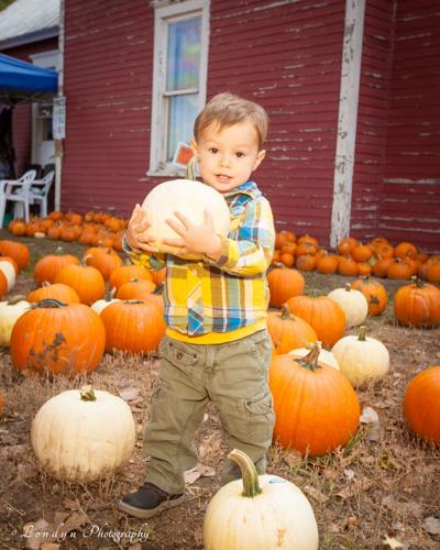 Plenty of fall activities at Reynolds Ranch Harvest Festival
