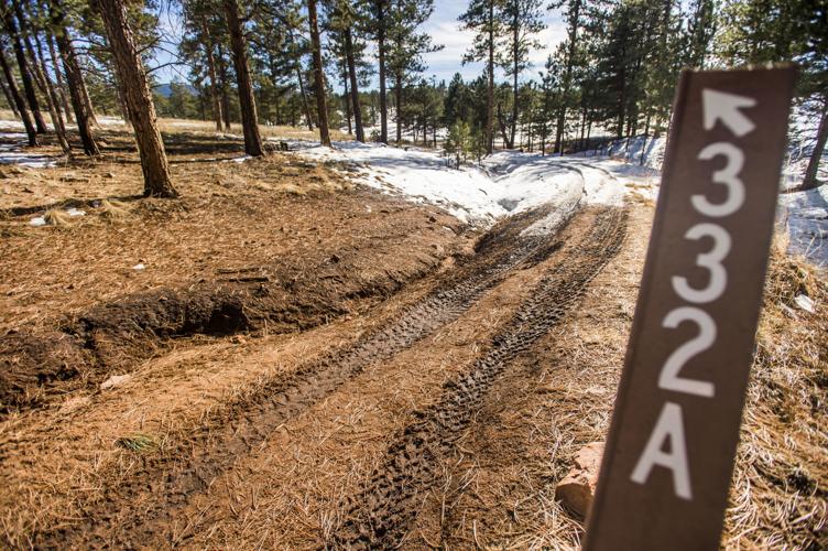Some Pike and San Isabel forest roads closed while because of lack of study