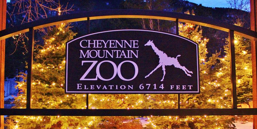 Electric Safari at Colorado Springs’ Cheyenne Mountain Zoo opens for 25th holiday season