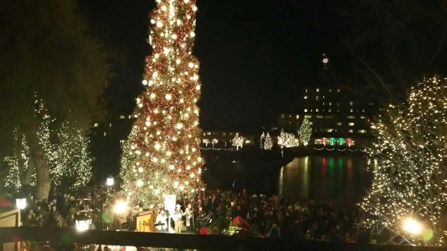 American Cancer Society Broadmoor tree honors loved ones this season