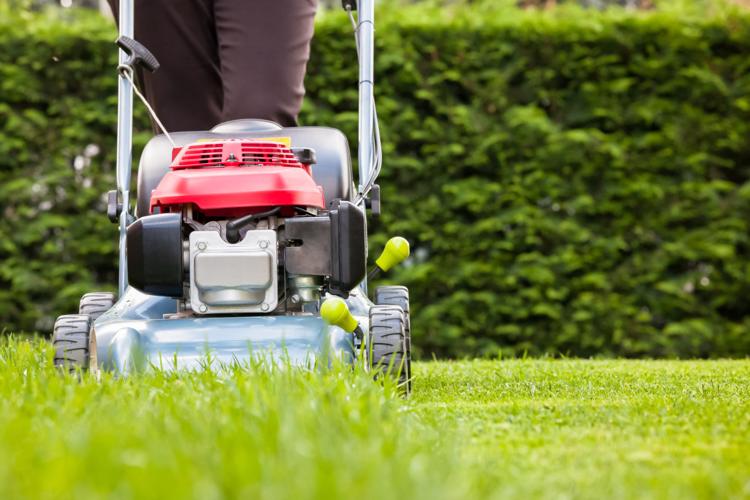 Around the house: Tips for maintaining a healthy lawn