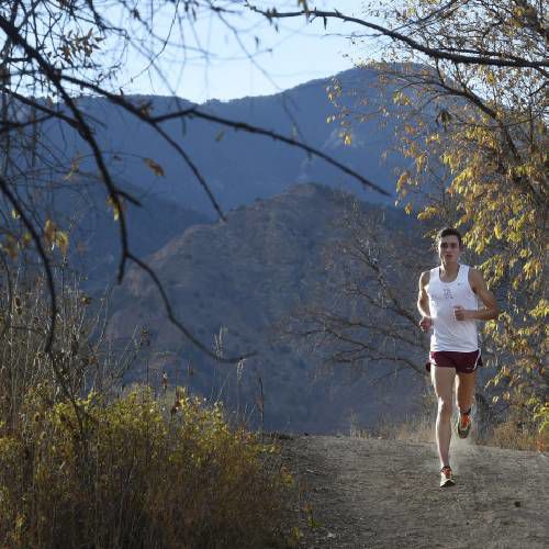 TCA’s Tanner Norman is Gatorade Colorado Boys’ Cross Country Runner of Year