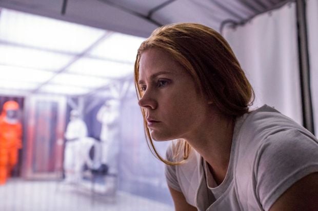 Oscar snubs: Martin Scorsese and Amy Adams miss out