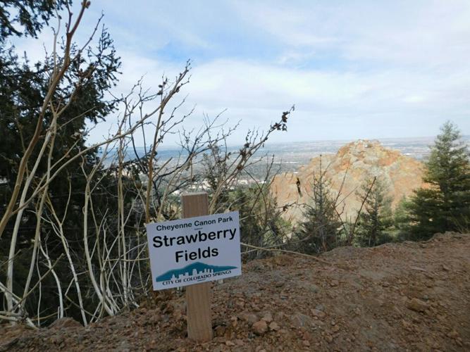 Colorado Springs firm outlines proposals for property in land swap