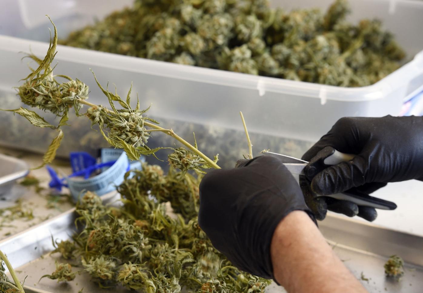 Special session on Colorado marijuana issues called a long shot