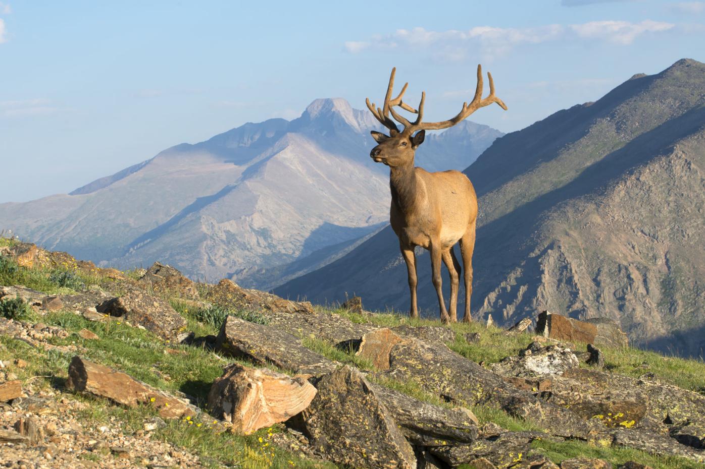 Rocky Mountain National Park lifts campfire ban