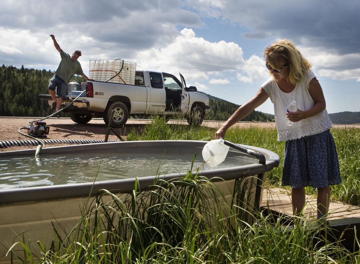State to cap free spring water available in Teller County for decades, citing water rights violation