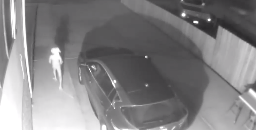 Woman claims home security camera captures mysterious creature in Colorado