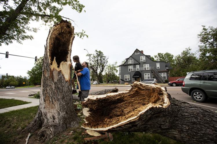 Blustery spring storm damages trees, causes power outages in Pikes Peak region and beyond