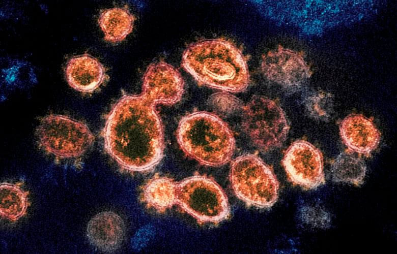 Coronavirus in Colorado — Latest updates, Jan. 3