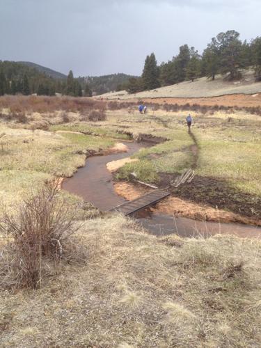 Easy access to Elder-Fehn Trail with bonus loop options | Take a Hike