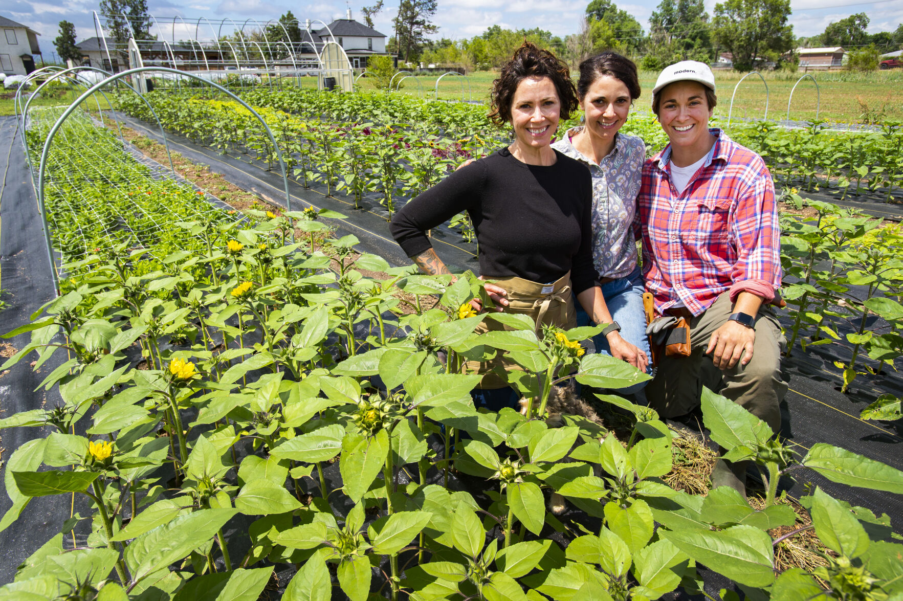 Dream come true: 3 sisters open flower farm on historic Venetucci property in Colorado Springs