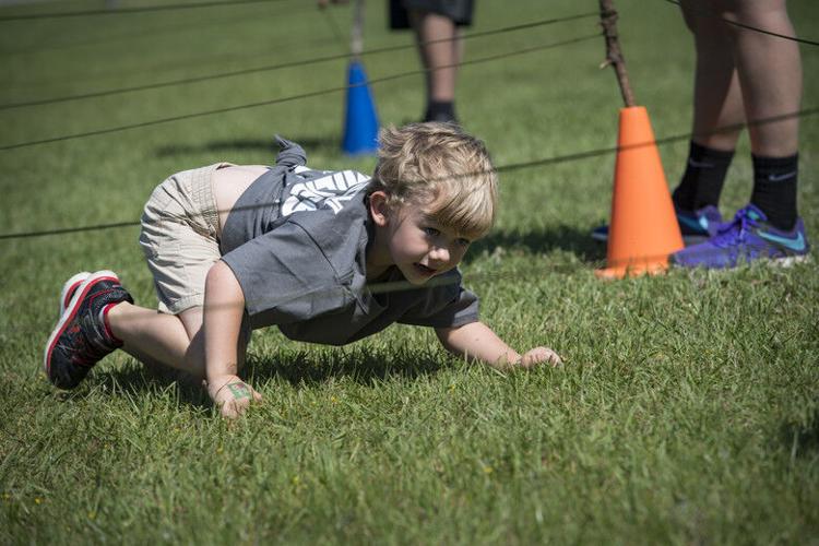 Find your summer adventure | Library Limelight