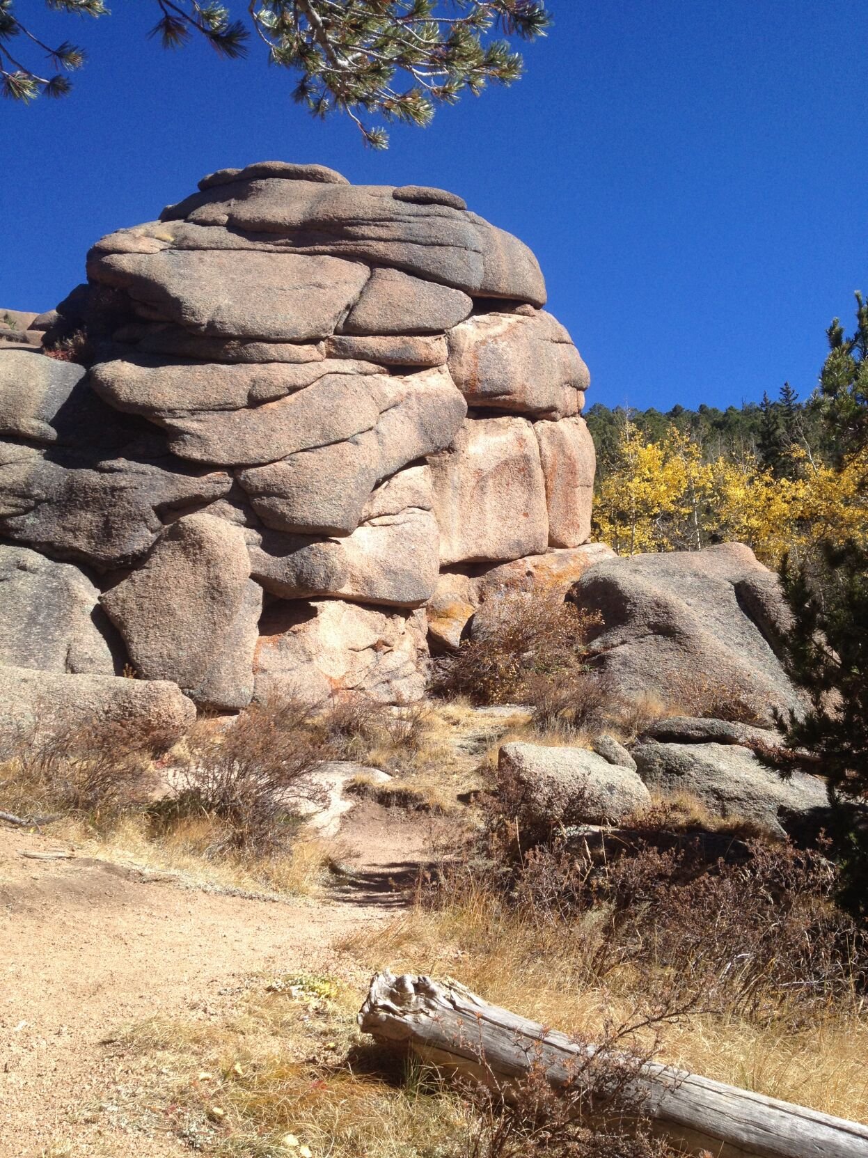 Raspberry Mountain near Divide delivers on views and berries | Take a Hike