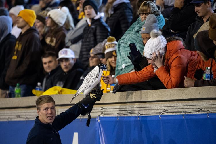 Air Force Academy’s cadet falconers thrill home crowds with live, flying mascots
