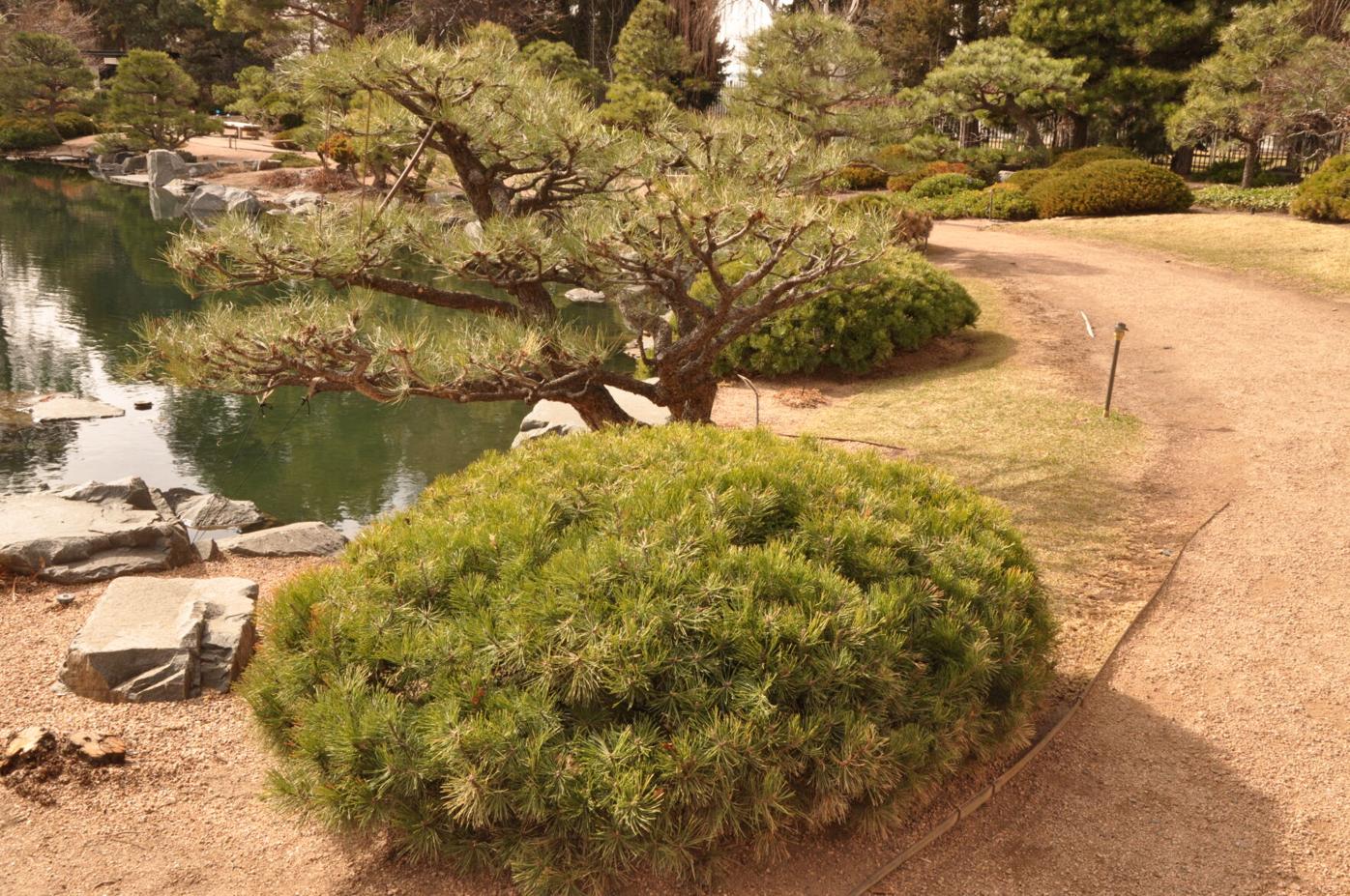 Year-round gardening: What’s up with turf?