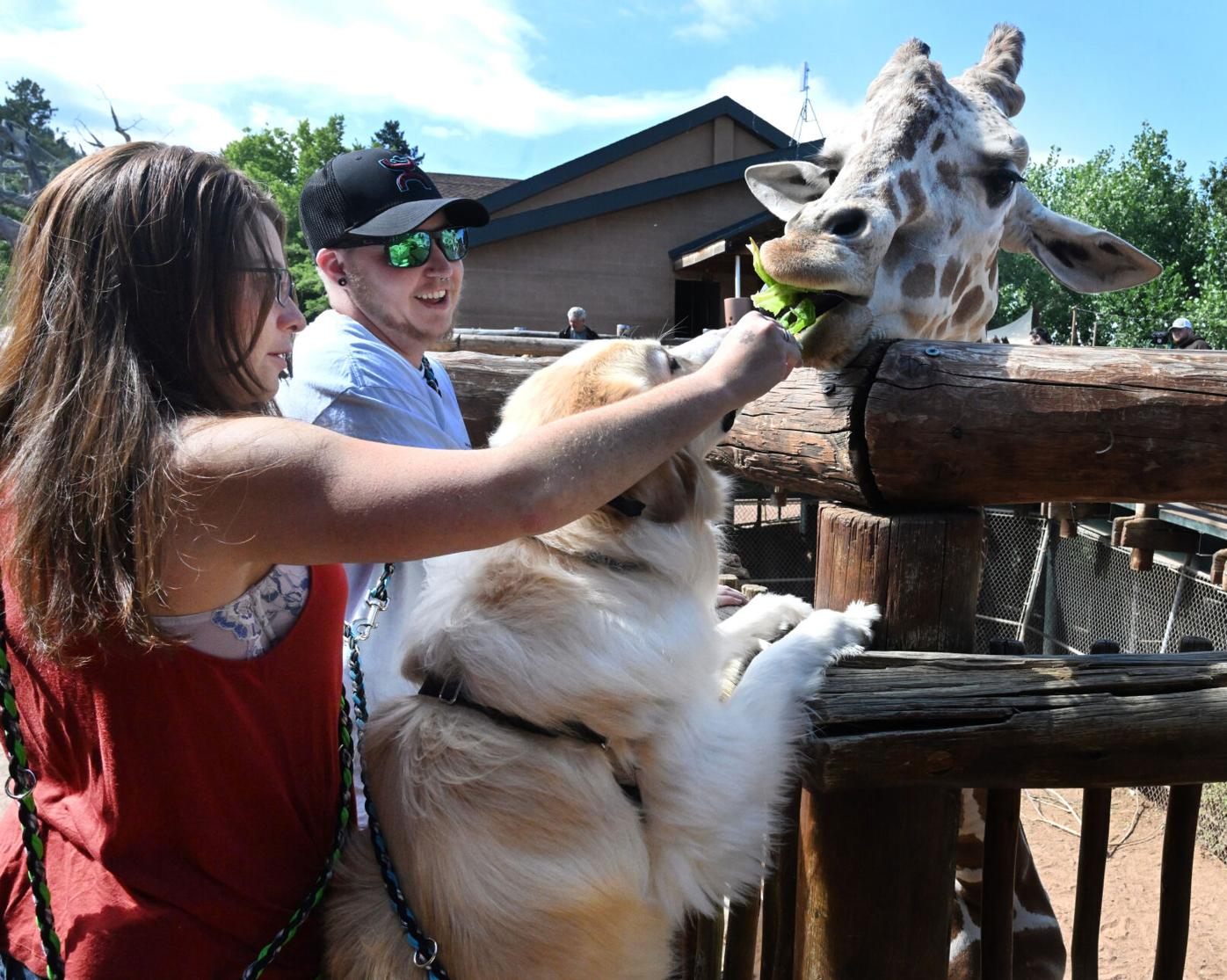 Cheyenne Mountain Zoo makes top-10 list of North American zoos yet again