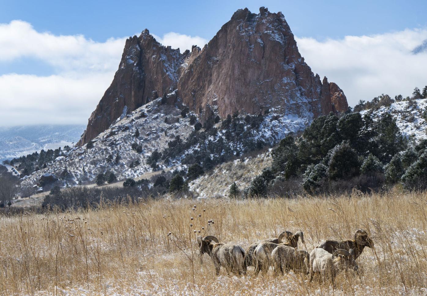 Colorado Springs Weather: Sunny with a high of 62, snow showers to follow later this week