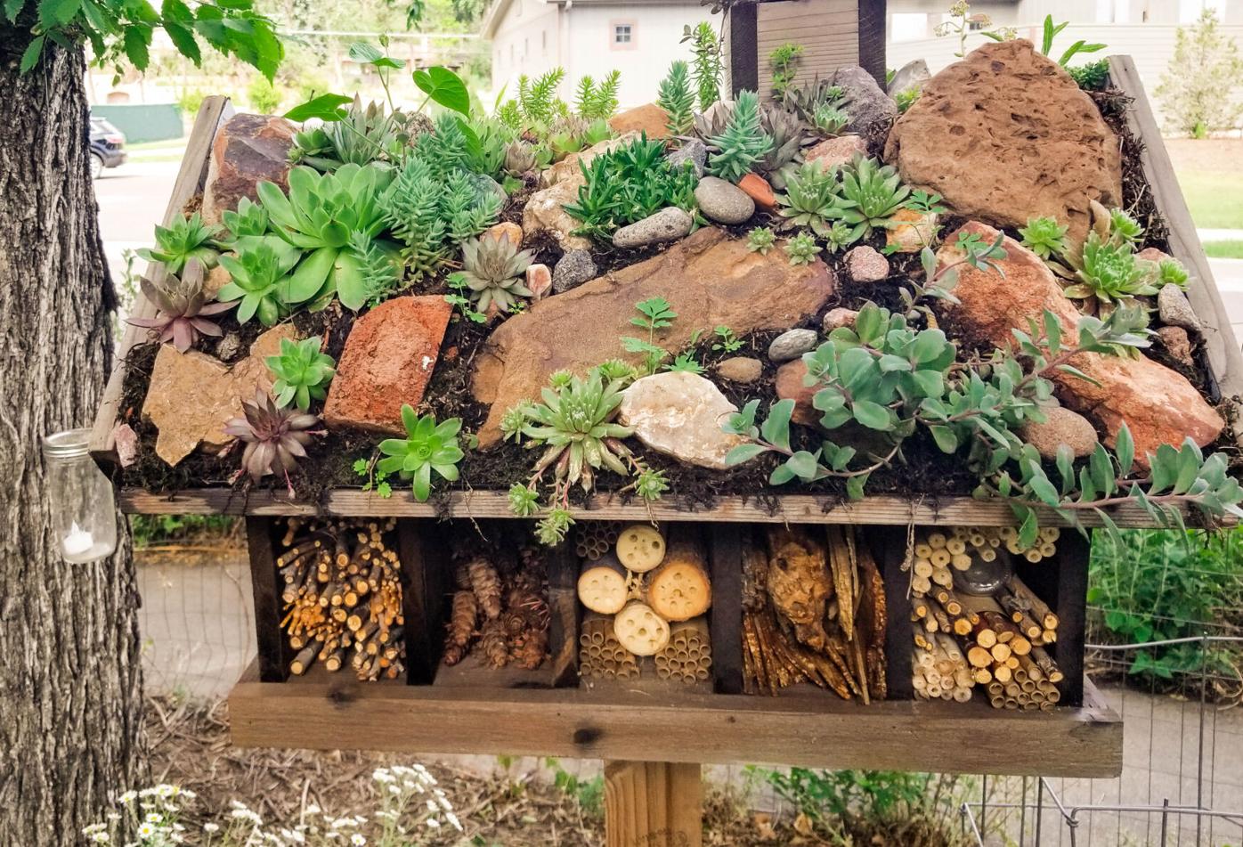 Year-round gardening: Build a pollinator ‘hotel’ to help Colorado bees