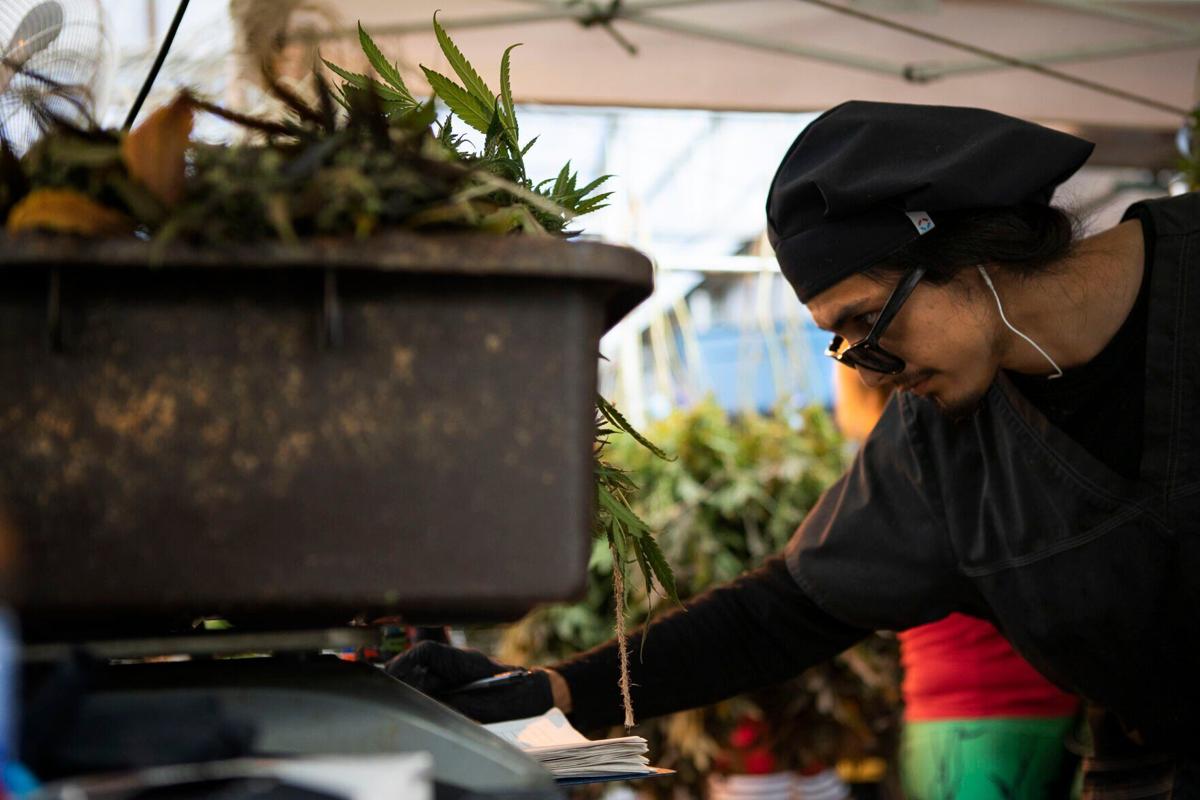 Aurora council kills proposal to eliminate marijuana excise tax