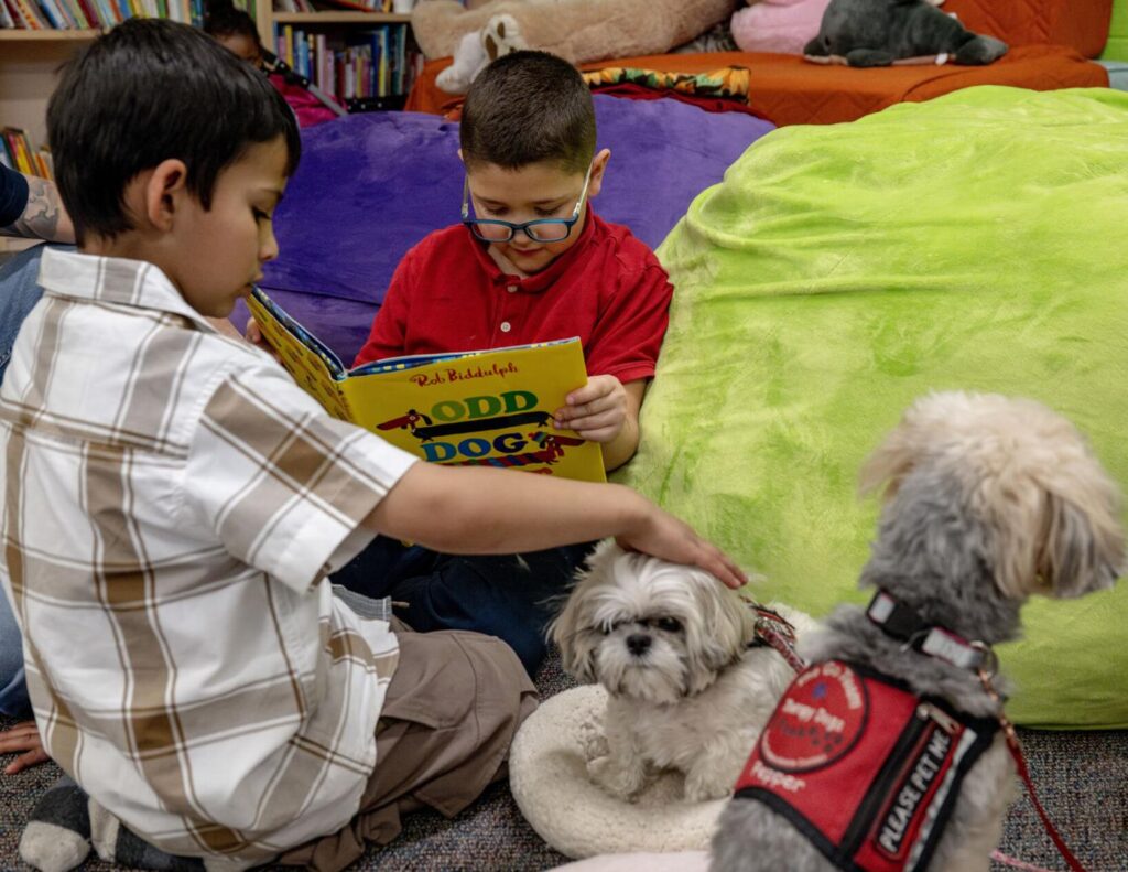 Tales for Tails program in Colorado Springs shows how dogs make good reading buddies