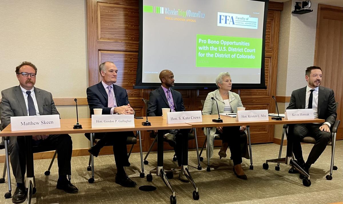 ‘Opportunity to level the playing field’: Federal judges deliver pro bono pitch to lawyers