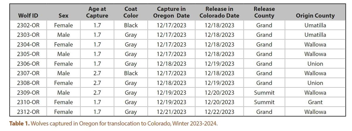 Colorado Parks and Wildlife to get more wolves from Canada