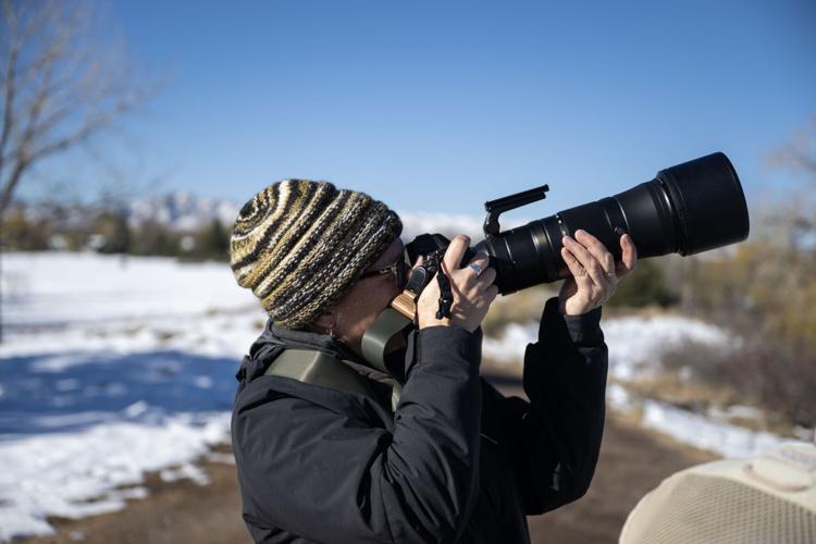 ‘Just explore’: One woman’s journey in Colorado high-altitude wildlife photography