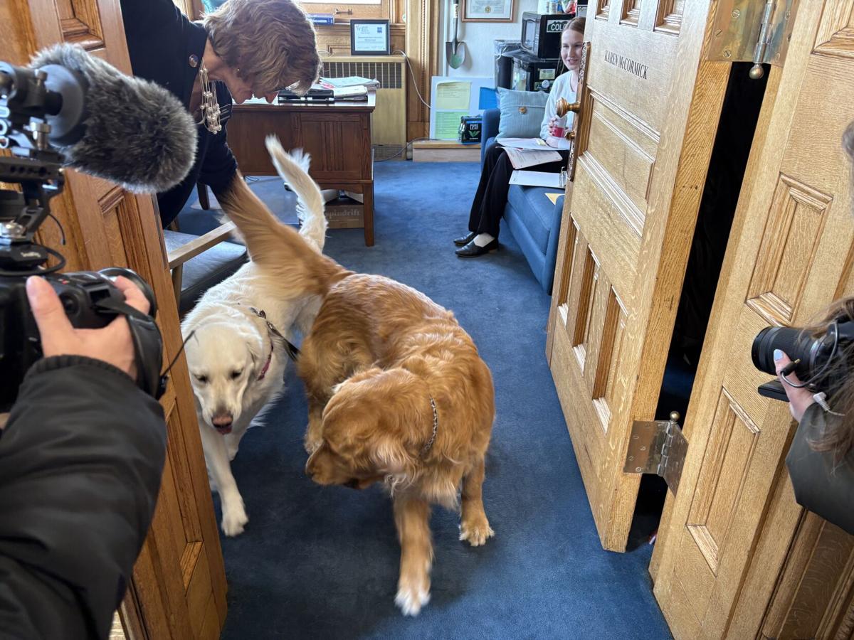 Doggy play dates! Capitol M: Week of March 1