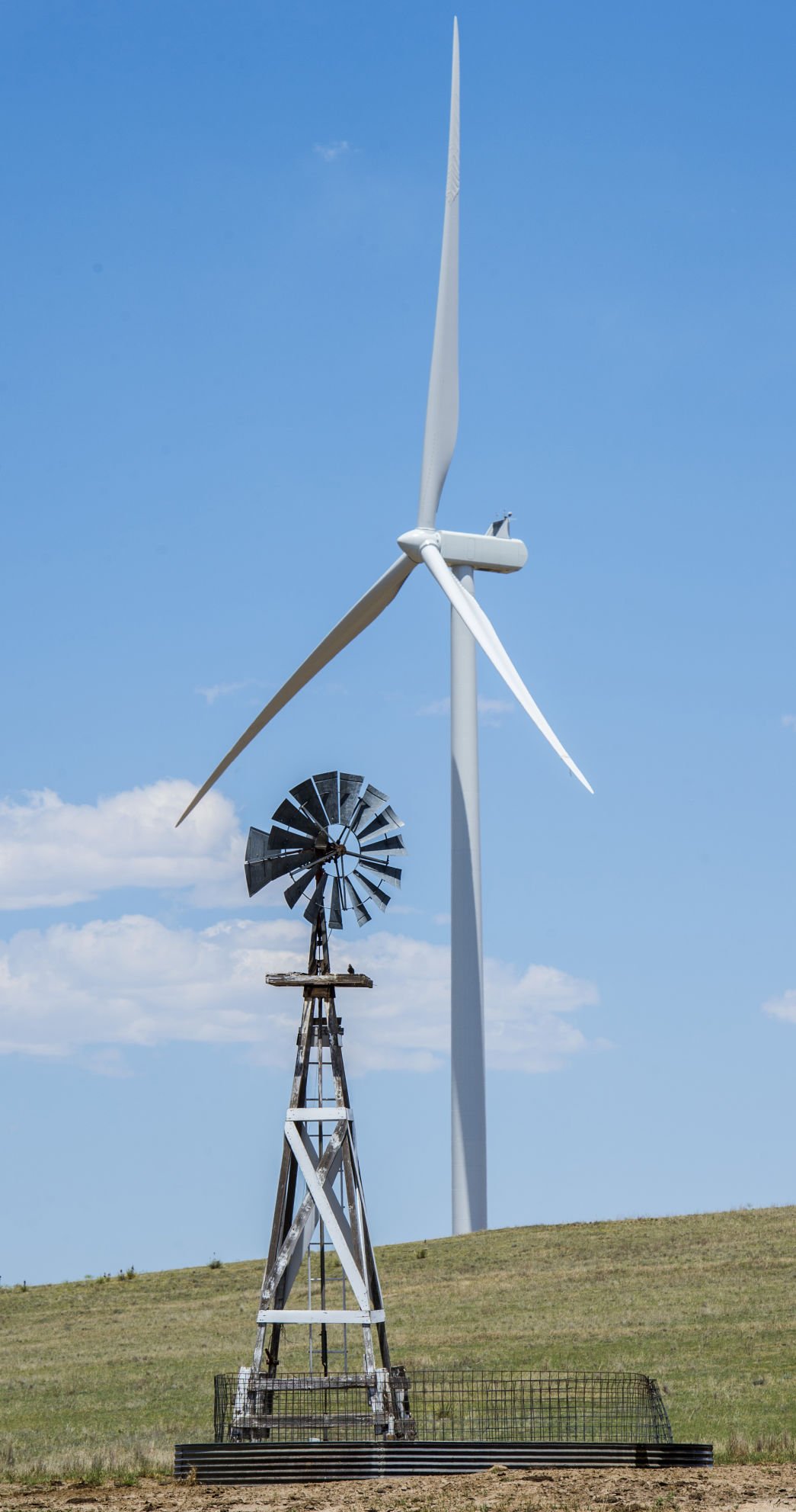 wind farm