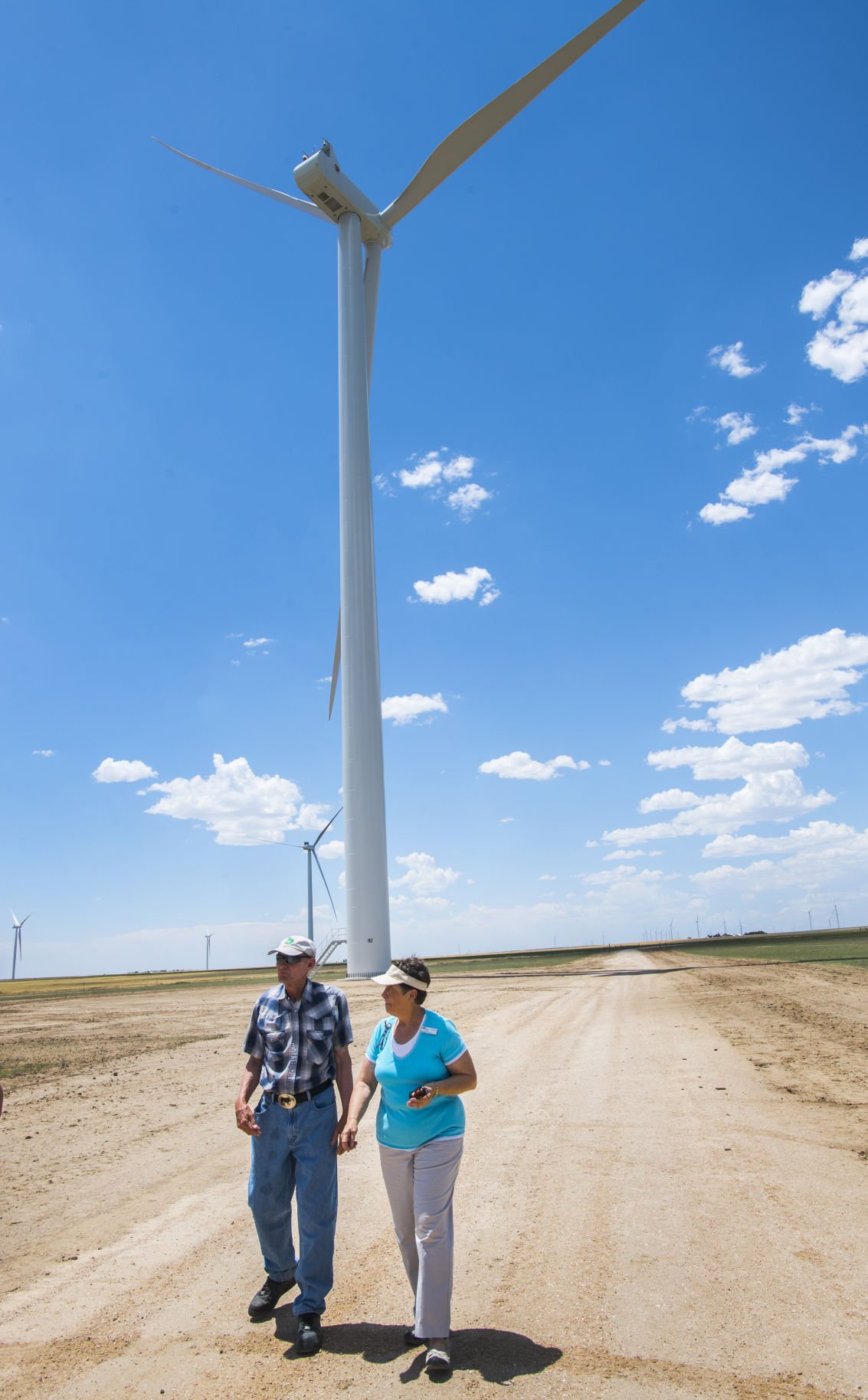 wind farm