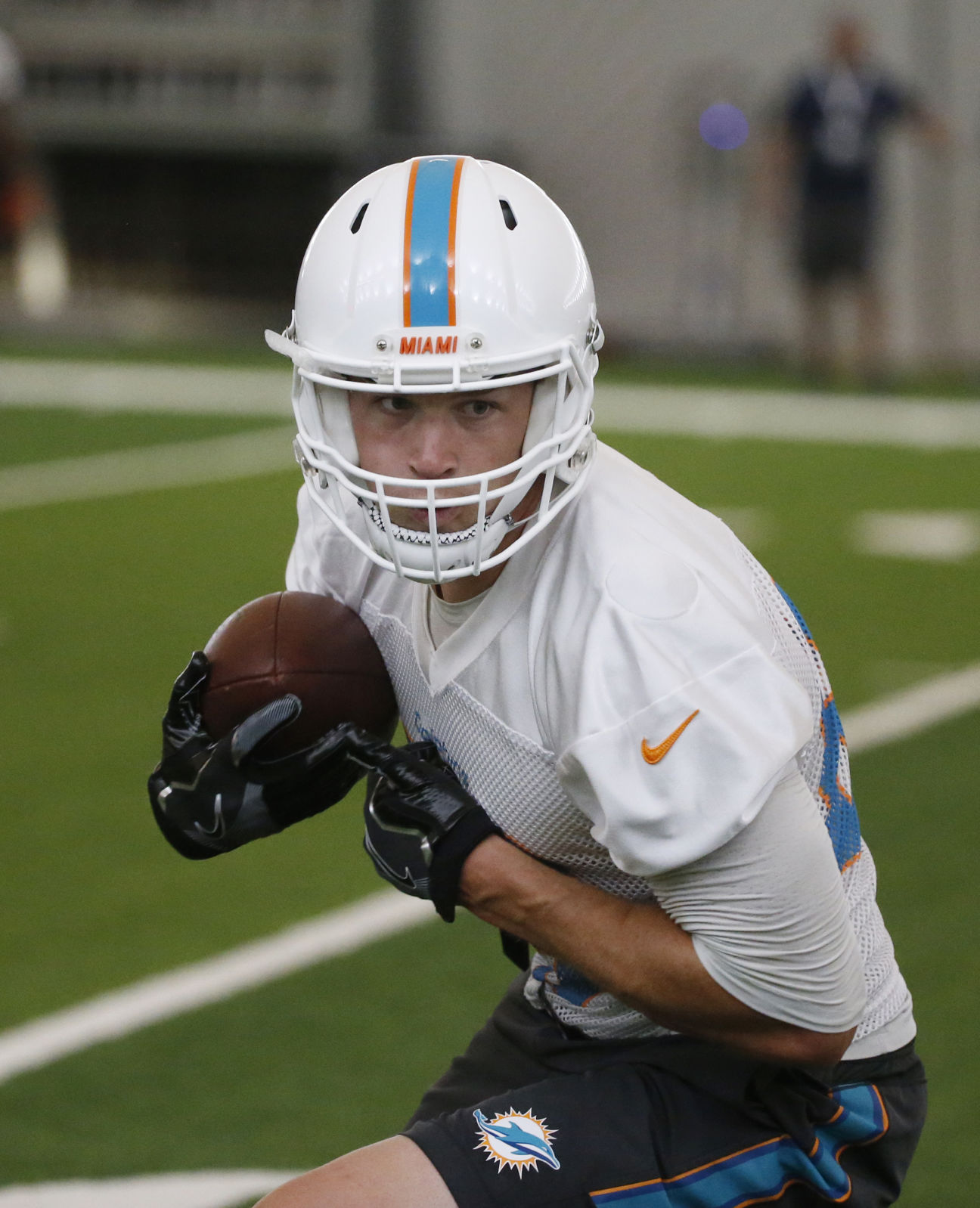 Dolphins Football