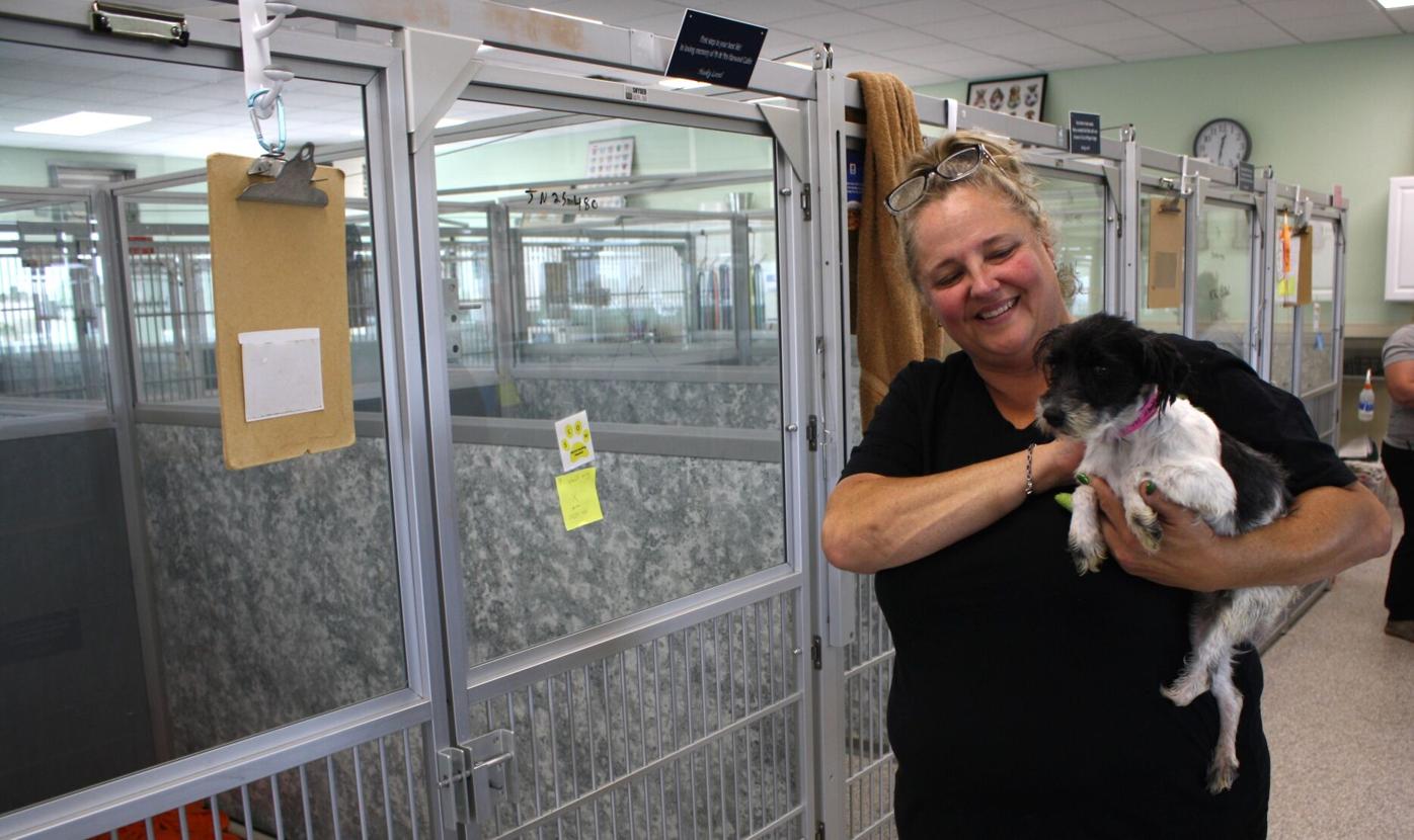 ‘Worst situation we’ve ever seen’: Peyton-based nonprofit rescues 165 dogs, starts road to recovery