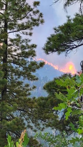 COLUMN: Grass fires impacting Colorado’s  Western Slope