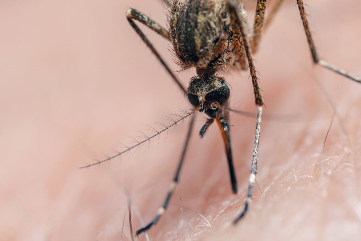 First Colorado death from West Nile virus reported for 2025