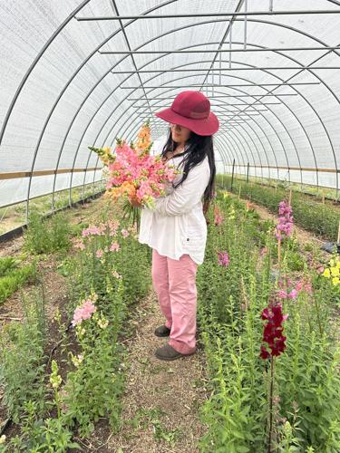 Whimsical blooms: La Florecita Farm brings sustainable flower farming to Colorado Springs
