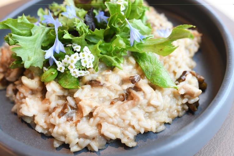 Excellent cuisine, stunning view worth the price at upscale hotel restaurant in Colorado Springs | Dining review