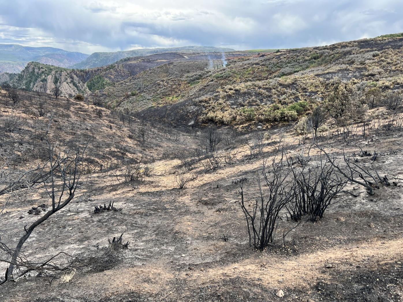 South Rim Road to open Friday at Black Canyon of the Gunnison National Park