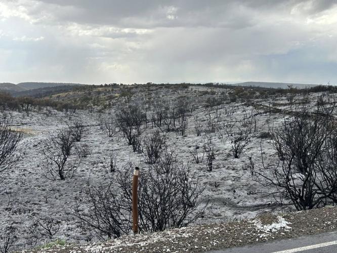 Colorado wildfires update: Burning slows as big blaze nears containment